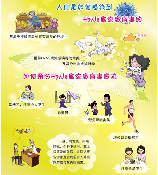 H7N9“殺”到佛山，市民無需過分擔憂