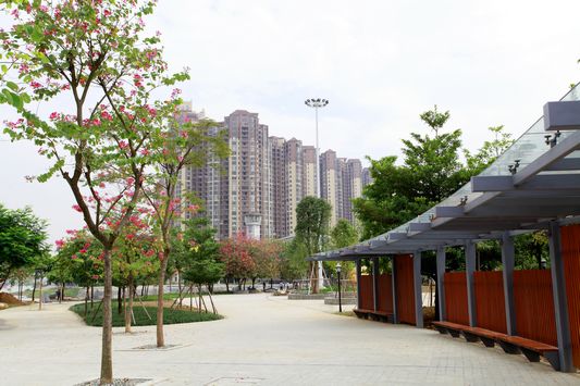 一起騎著自行車感受容桂東部建設新貌