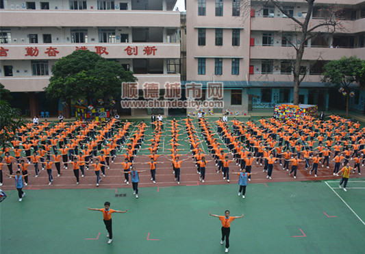 大良北滘公辦小學政策性借讀生招生方案出爐