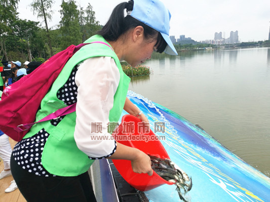 自由啦！50萬魚兒“游”進順峰山公園