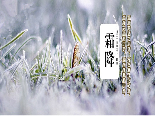 霜降，順德的文人雅客是這樣度過呢
