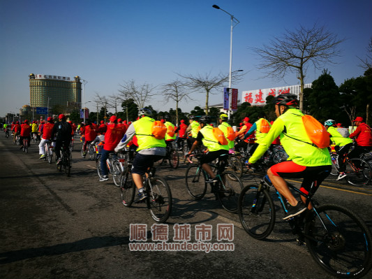 春日盛事！近7000市民感受千年花鄉(xiāng)魅力