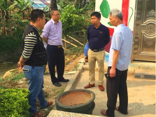 倫教：調研環境突出問題，推動鄉村振興