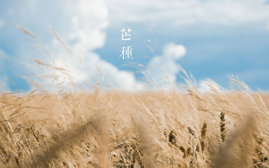 ＠勒流人，芒種到，這八樣寶別再錯過了