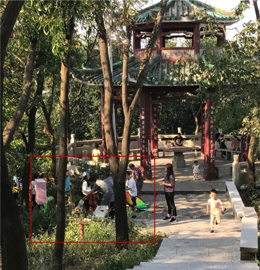 順德網(wǎng)議：消防栓竟成了公用水龍頭？