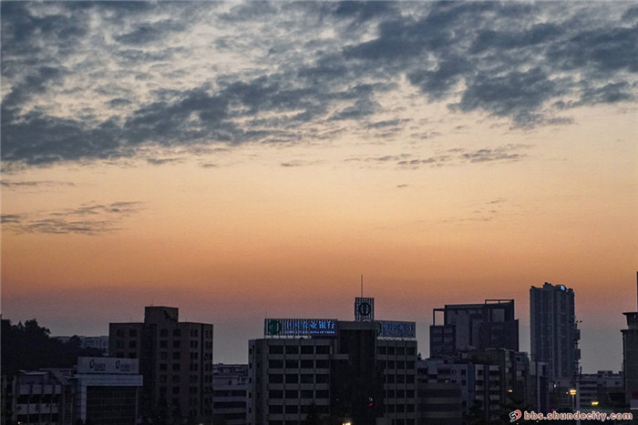 順德傾情夜話：清明節不拜山就是不孝？