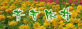 順德城市網(wǎng)陳村頻道