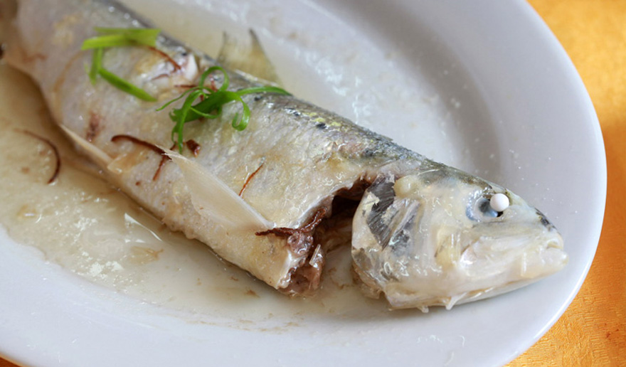 罕見(jiàn)的新鮮三黎魚(yú)“精料粗做”，網(wǎng)友大贊：鮮、滑、肥、美、甘！(網(wǎng)友“生哥哥”/攝)