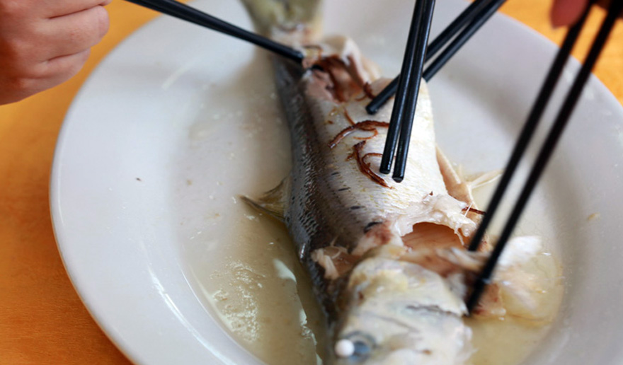 等待已久的美味三黎魚(yú)終于上桌了！心動(dòng)不如行動(dòng)，吃貨們迫不及待動(dòng)筷。（網(wǎng)友“生哥哥”/攝）