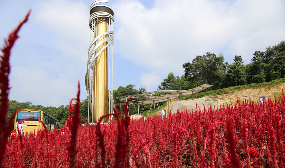 龍江鎮天湖森林公園是一個以全民健身為主題，融入龍江特色的人文元素具有健身、運動、娛樂休閑等綜合性功能的公園。（順德城市網網友順德大肥）