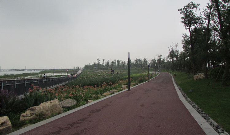 吳江東太湖公園景色宜人