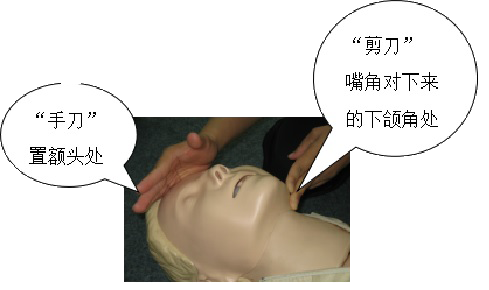 仰頭提頦法