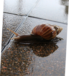 悠然自樂，靜靜享受雨后清新