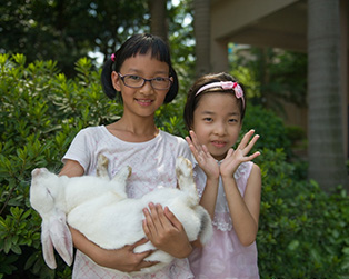 愛心從小培養，關愛身邊的小動物，你也能做到嗎？（順德城市網網友“田園牧歌”攝）