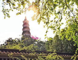 連續(xù)多天的陰雨天氣，讓人很想念晴天時(shí)的美麗風(fēng)景。（順德城市網(wǎng)網(wǎng)友“邊人”攝）