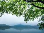煙雨朦朧，這樣的順?lè)迳焦珗@美嗎？（順德城市網(wǎng)網(wǎng)友“五個(gè)輪”攝）