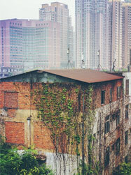 現(xiàn)代建筑與舊房子形成鮮明的對比，順德正在不斷發(fā)展中啊！（順德城市網(wǎng)網(wǎng)友“火玄散人”攝）