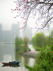此處煙雨迷蒙，此處也充滿自然美景，此處是你喜歡的地方嗎？（順德城市網網友“田園牧歌”攝）