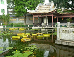 碧池蓮花開，雖已有歷史痕跡，但依然充滿活力。（順德城市網攝影俱樂部成員“1159817218”攝）