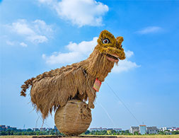 雄獅威武！均安南沙創(chuàng)意的稻草人，你去看了嗎？（順德城市網(wǎng)攝影俱樂部成員“五個輪”攝）