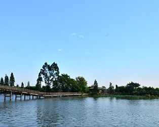 桂畔海上的“美景良辰”，原來歲月如此靜好。（網友“情義兩心知”攝）