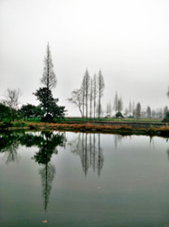 走遍千山萬水，家鄉(xiāng)的風(fēng)景最美。嘗盡人間百味，家鄉(xiāng)的感覺最暖。（順德城市網(wǎng)網(wǎng)友“gongli”攝）