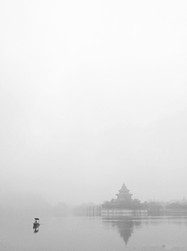 大家都去賞花了，而我們在順峰山公園感受霧氣。（順德城市網網友“攝影-邊人”攝）
