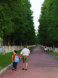 寬闊的馬路，筆直的車道，蔥綠的樹木，走過這里，是不是有種浪漫的感覺？（順德城市網(wǎng)網(wǎng)友“丘比特”攝）