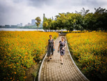 順峰山公園里，四季如春。（順德城市網網友“依然滄海”攝）