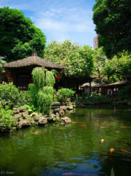 天氣好，景色佳，一派欣欣向榮的景象！（順德城市網網友“Strkie”攝）
