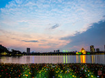 在順峰山公園，璀璨燈光、溫柔夜色與鮮花也很配哦。（順德城市網網友“梅佛田”攝）