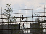 在勒流江義康樂中心，我們需像這些城市建設者致敬。（順德城市網網友“grady”攝）
