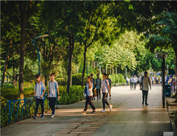 路過文塔公園，遇見他們的休閑好時光。（順德城市網網友“雕刻時光”攝）
