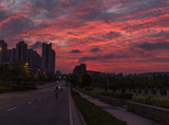 容桂朝霞映滿天。（順德城市網(wǎng)網(wǎng)友“依然滄海”攝）