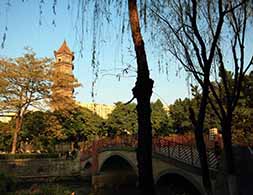 容桂文塔公園——容桂地標(biāo)，記錄著容桂的城市變遷！(網(wǎng)友“雕刻時光”攝)