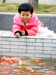 順峰山公園一小朋友喂錦鯉之景，子非她焉知其喂魚之樂？（網(wǎng)友“五個輪”攝）