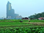 致錦繡田園：守不住的良田，這是從農耕文明向工業文明轉化的必然？（網友“田園牧歌”攝）