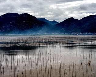 日出映照，江水如霞——霞浦，此等壯麗美景，著實驚艷！（順德城市網網友“雪茄叔叔”攝）