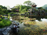 順峰山公園汀紫園，如此大好美景，湖邊安全問題卻令人堪憂。網友“雕刻時光”攝