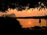 夕陽(yáng)為樹葉勾勒出一片剪影，原生態(tài)的大汕島在落日余暉中似老人般安詳寧?kù)o。網(wǎng)友“五個(gè)輪”攝
