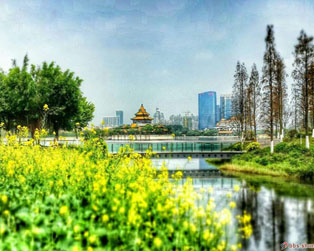 陌上花開，爛漫的春光為這座小城編織出了一道道迷人的風(fēng)景。網(wǎng)友“輕舞飛揚”攝