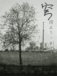 順德的環境治理仍然任重道遠，我們堅信發展跟環保可以平衡！這穹頂之下的五沙，希望這片灰色不會是它的主色調。網友“HOWARD大威”攝