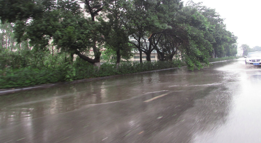 龍洲路勒流南水段水淹道路