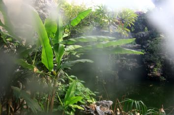 在文脈歷久不絕的順德，處處流露出雋永的味道。