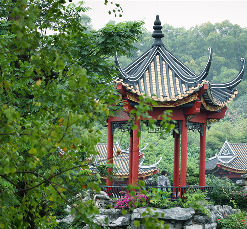 雨后朦朧的順峰山公園，有了幾分江南韻味