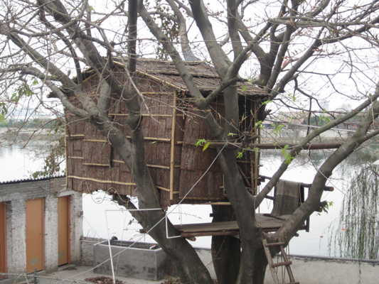 “Tree House”很浪漫？可能是個“稻草人”