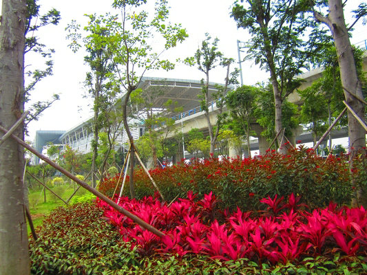 荒地變“花園”，廣珠輕軌順德站很美