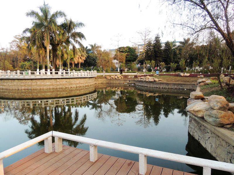 尋找勒流樹林公園的美