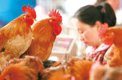 沒證據表明人吃禽產品會感染H7N9