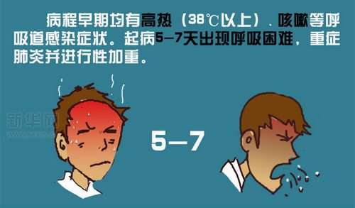 圖解H7N9，這是一種新型禽流感